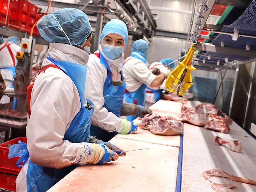 weiter zur Seite Zerlegebetrieb