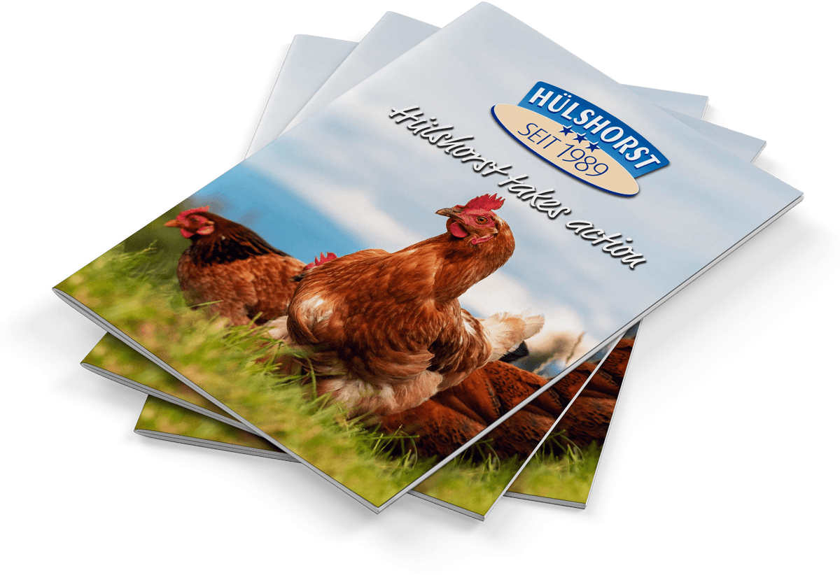 Download catalog (PDF)