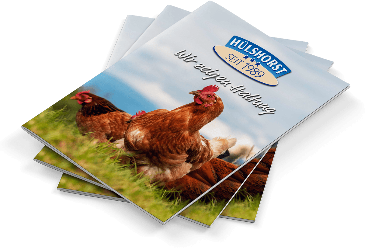 Download Katalog (PDF)