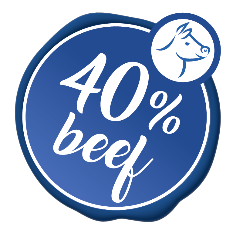 fleisch-rind-40